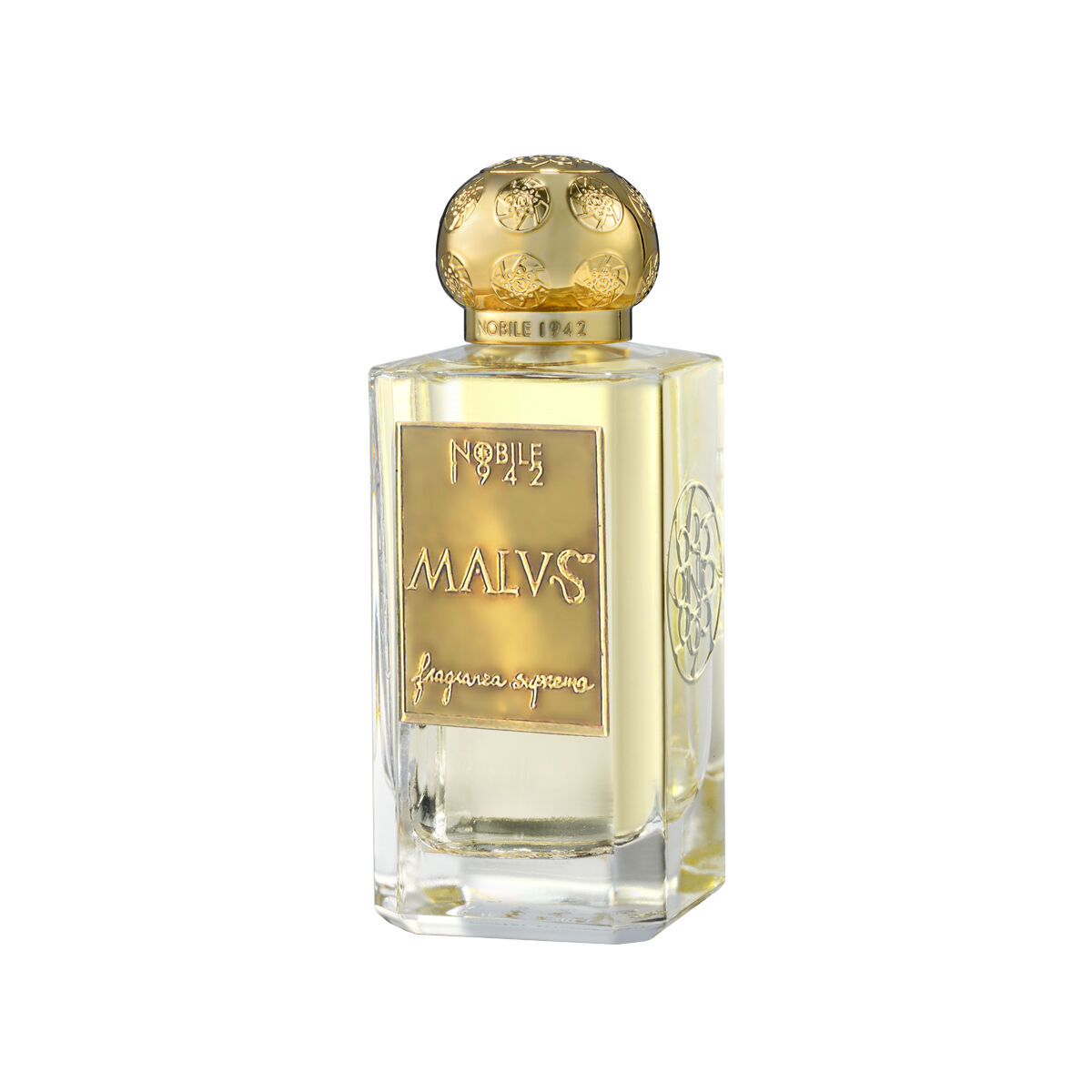 MALVS