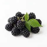 blackberry