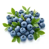 blueberry