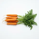 Морковь