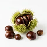 chestnut