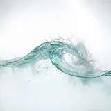marine notes