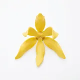 ylang-ylang