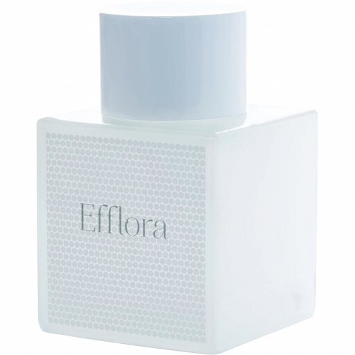 Efflora - фото 1