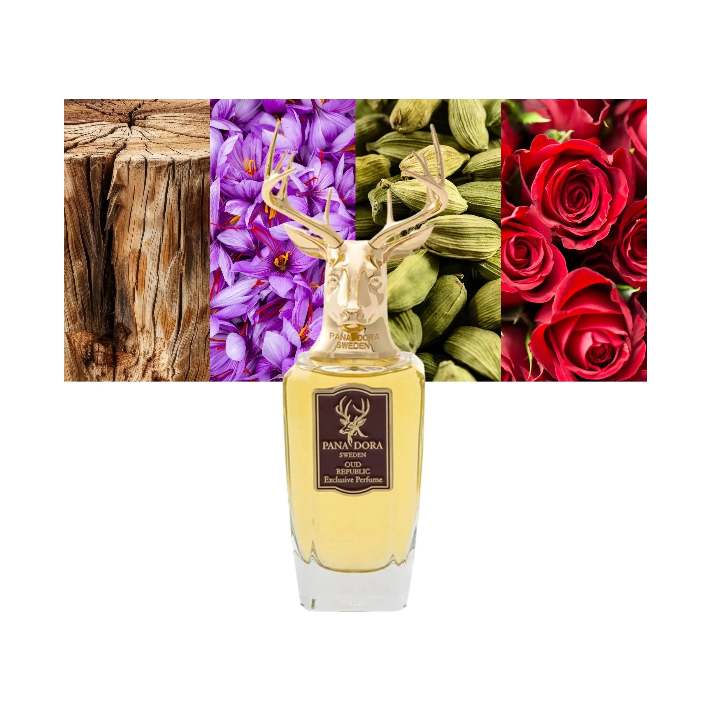 Pana Dora Oud Republic