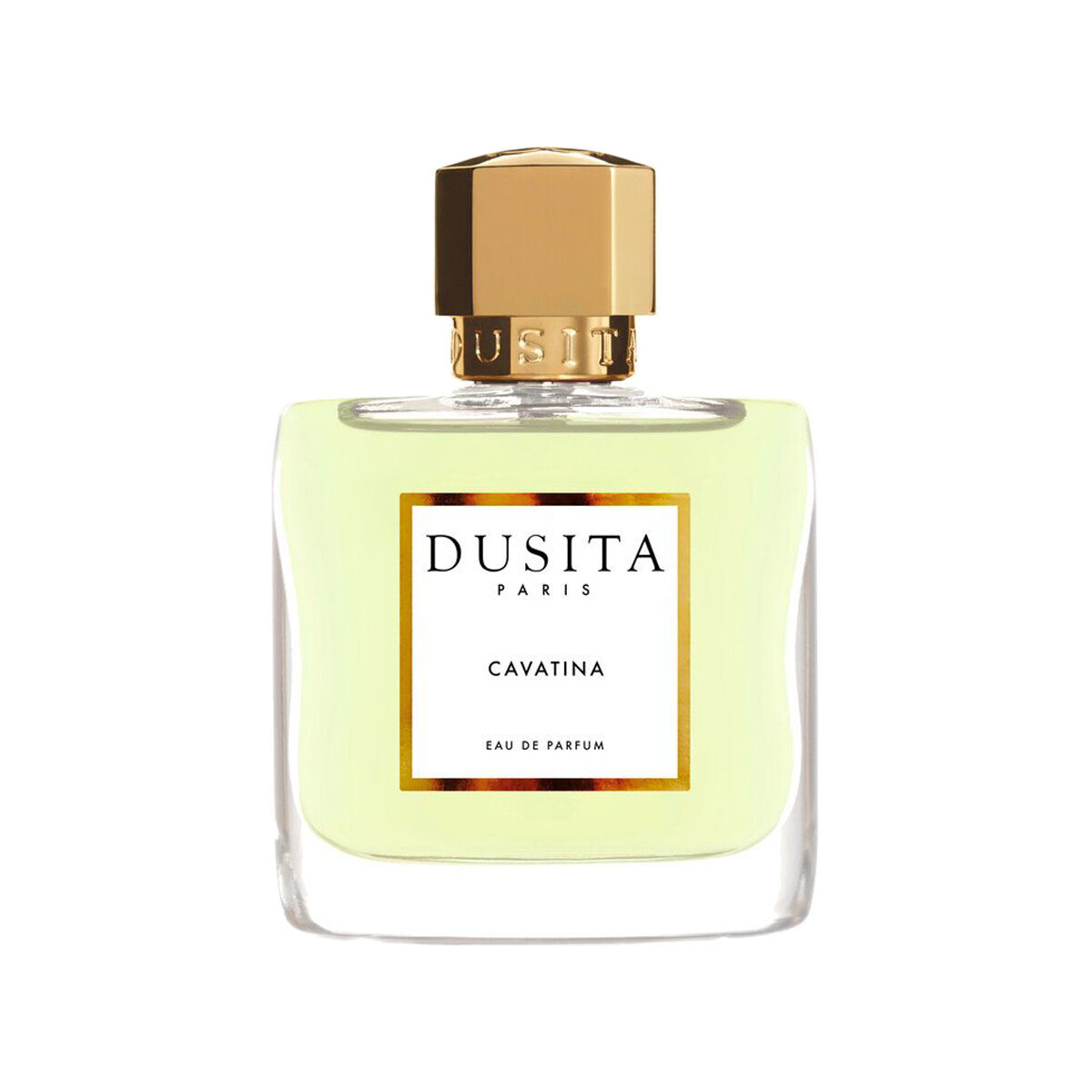 Cavatina