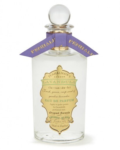 Lavandula
