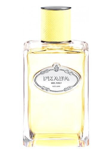 Infusion de Mimosa