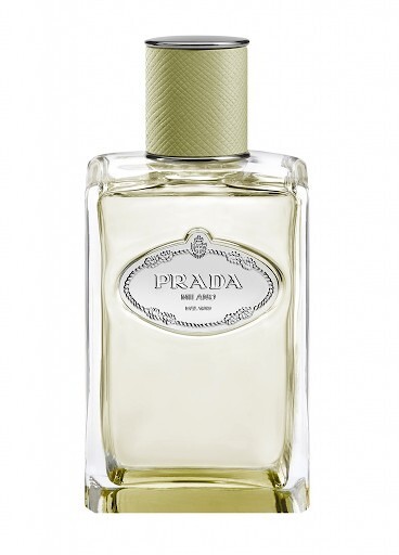 Infusion de Vetiver 2015