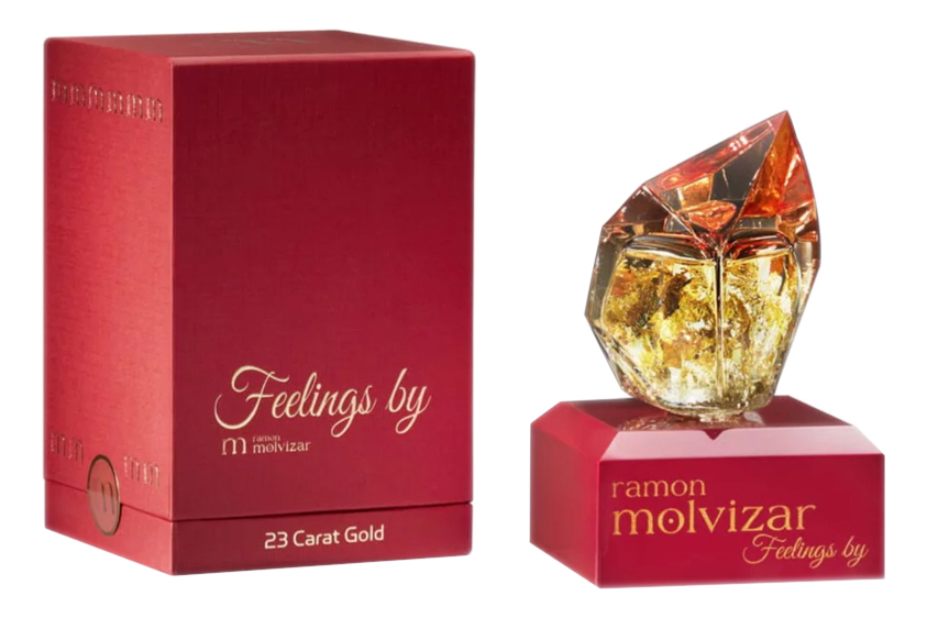 Ramon Molvizar Feelings — фото 2 из 2