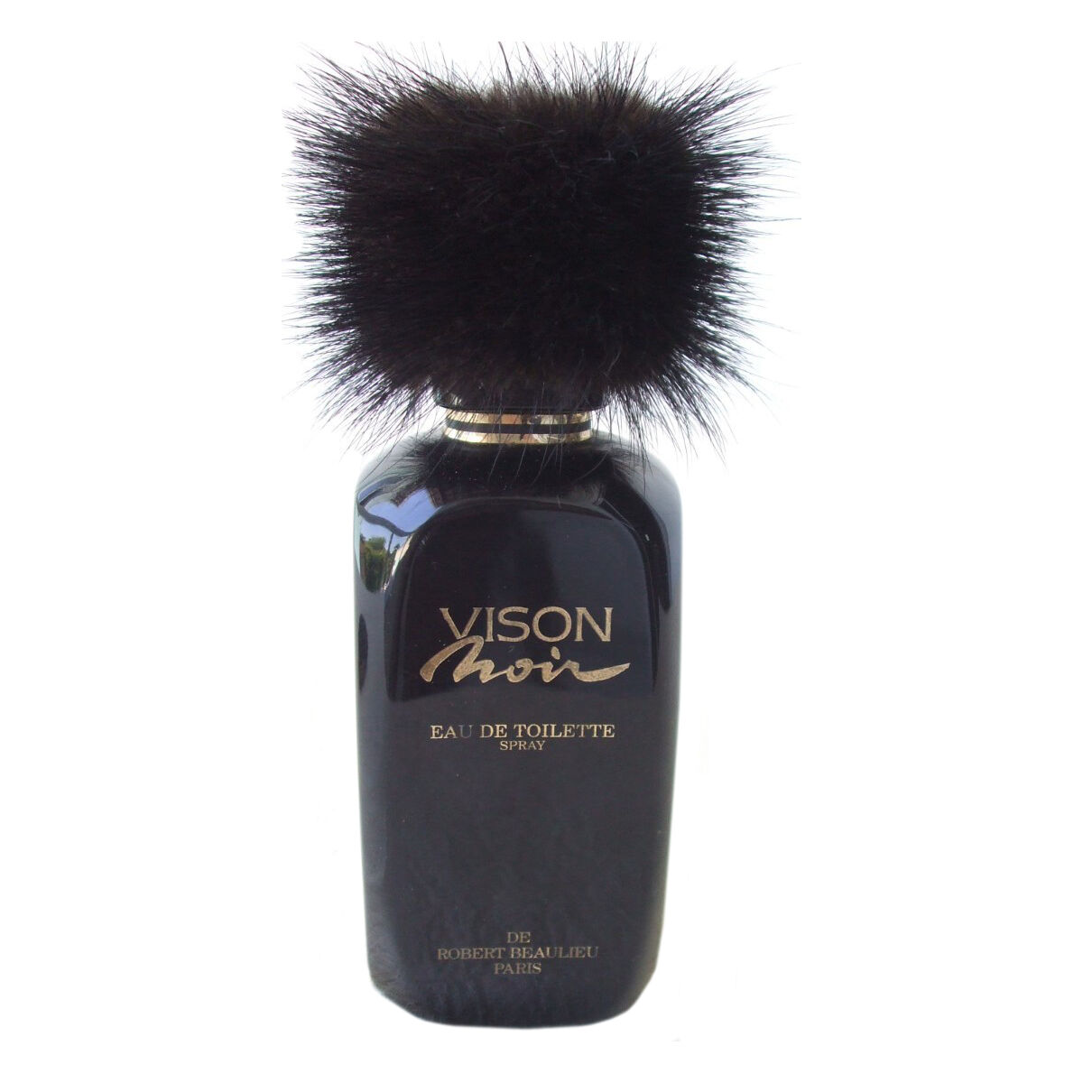 Robert Beaulieu Vison Noir