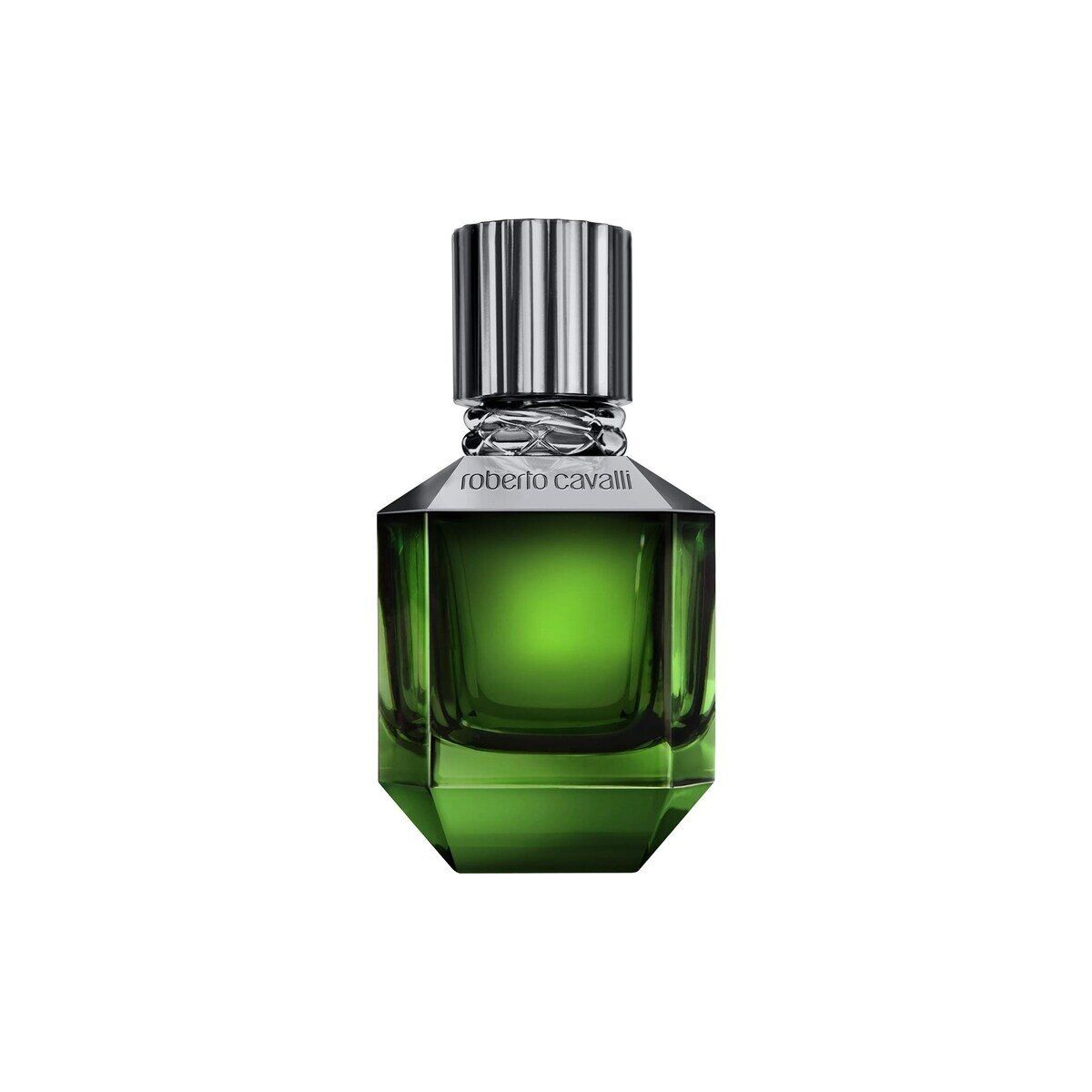 Cavalli Paradise Found for Men