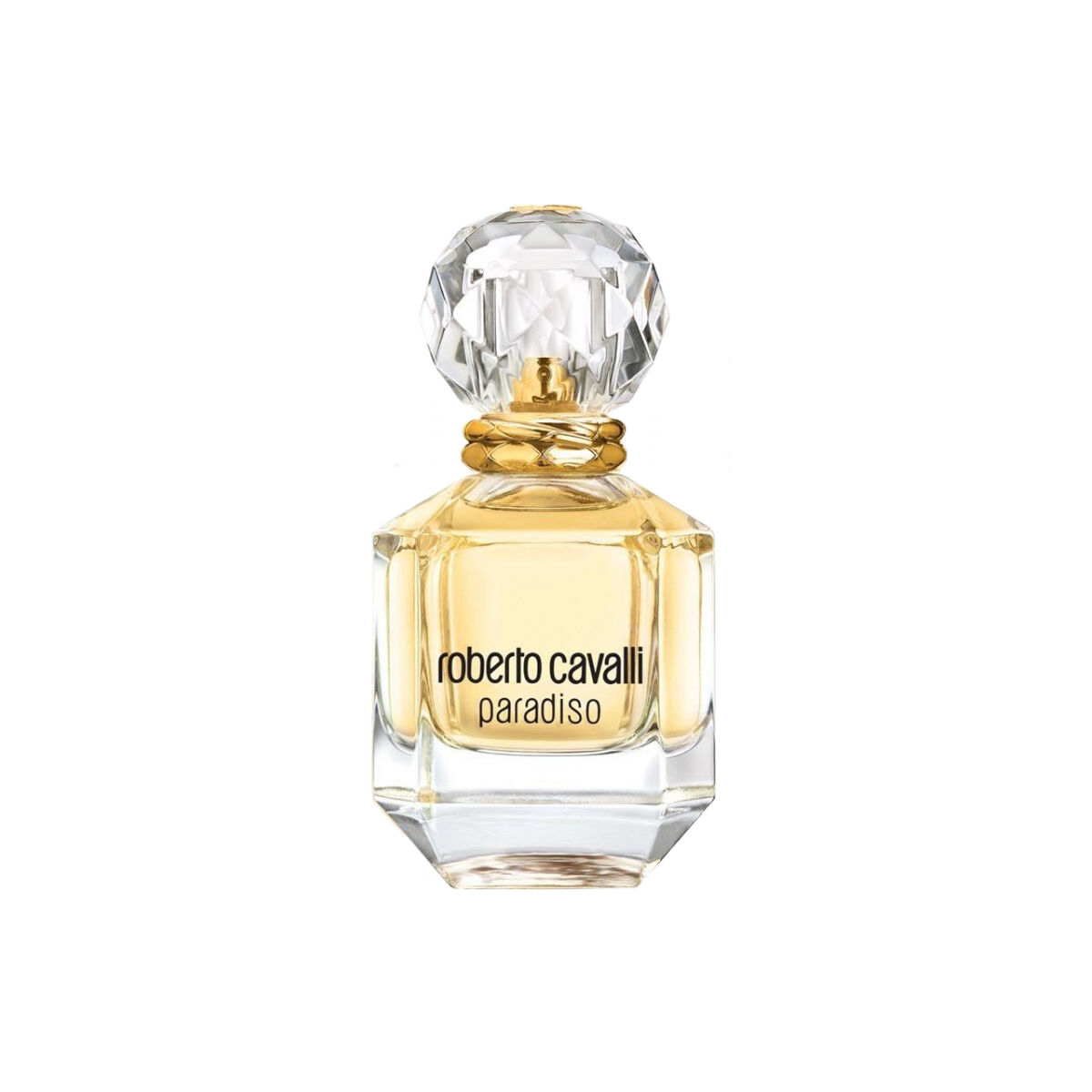 Cavalli Paradiso