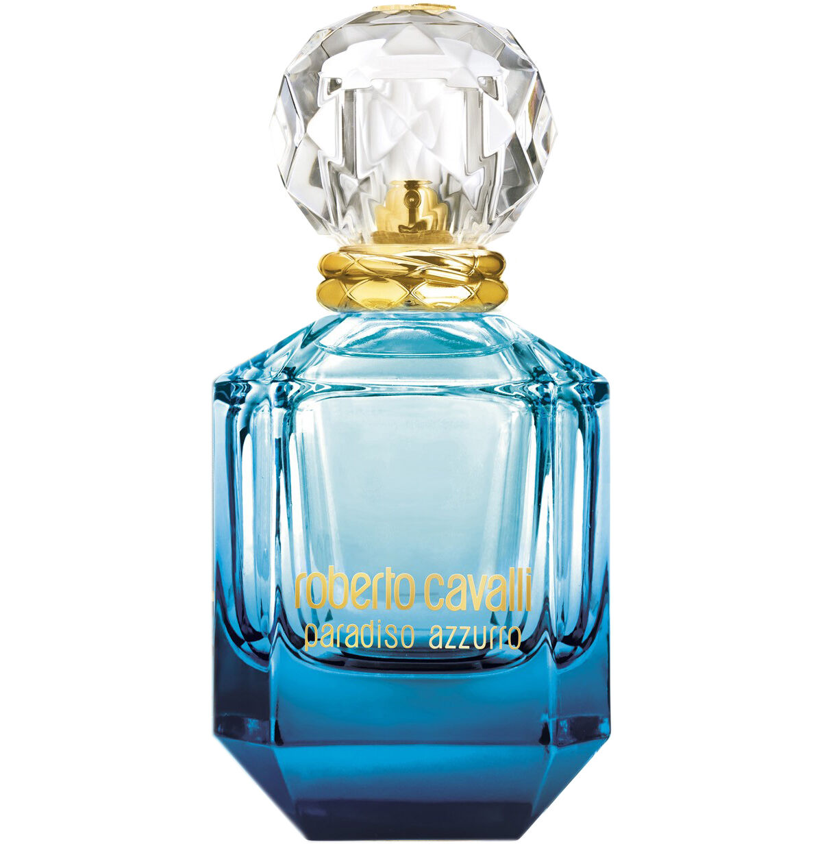 Cavalli Paradiso Azzurro