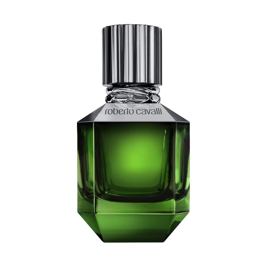 Roberto Cavalli Paradise Found for Men