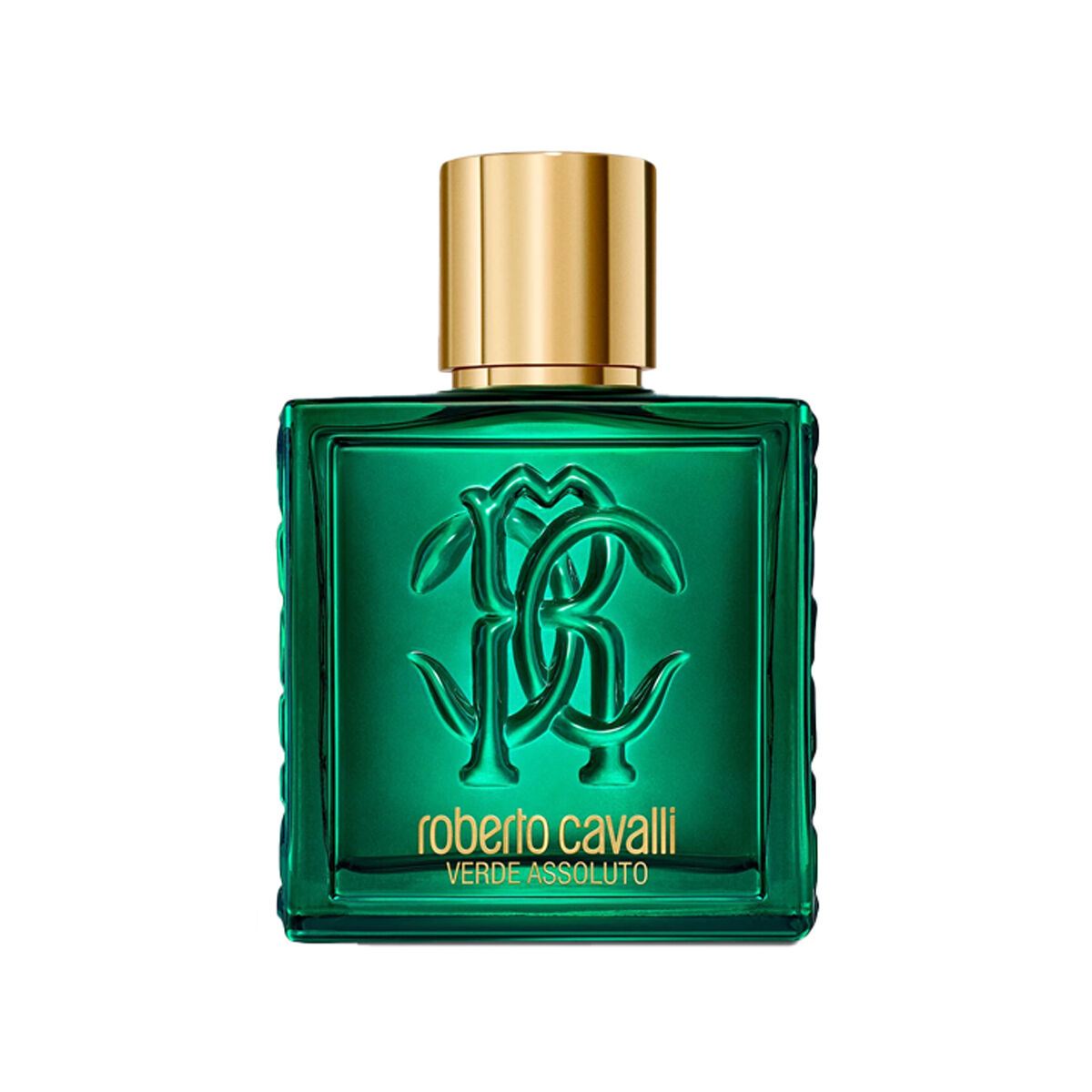 Roberto Cavalli Uomo Verde Assoluto