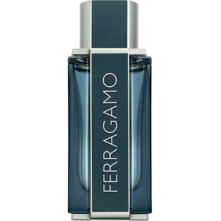 Salvatore Ferragamo Ferragamo Intense Leather — набор ((п/в + п/в + гель д/д) 100 + 15 + 100 мл)
