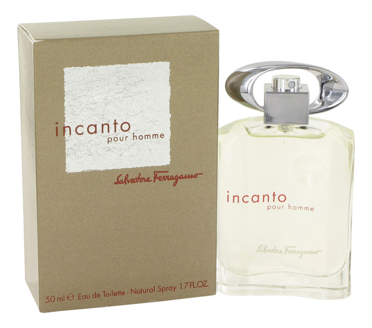 Salvatore Ferragamo Incanto Pour Homme — фото 2 из 2