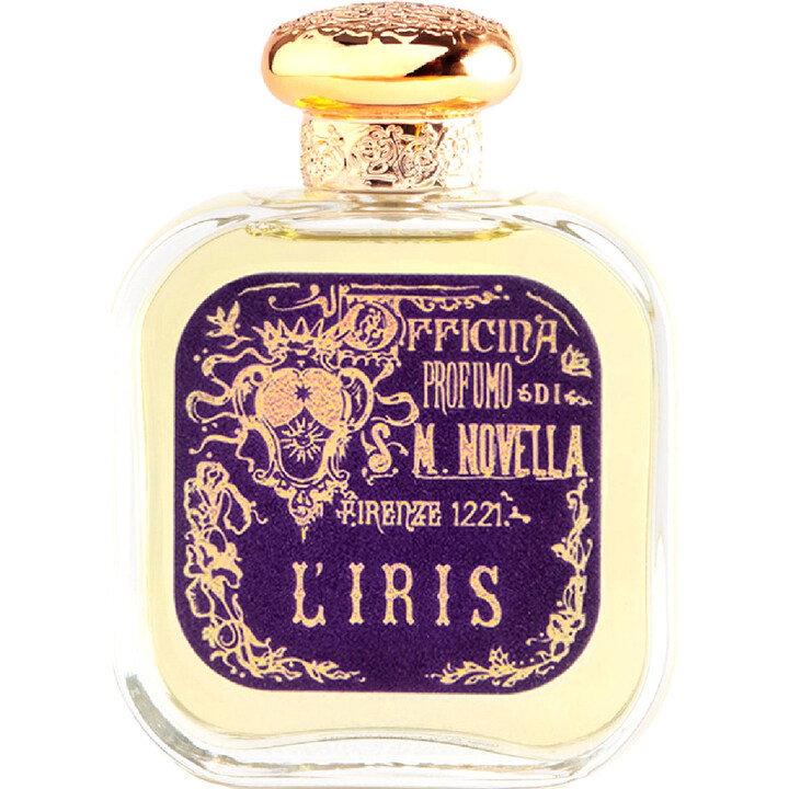 Santa Maria Novella L Iris
