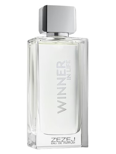 Winner In Life - фото 1