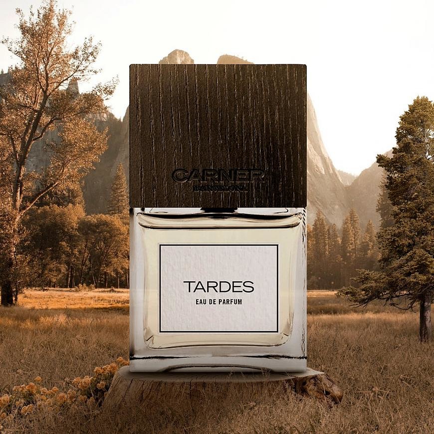 Carner Barcelona Tardes