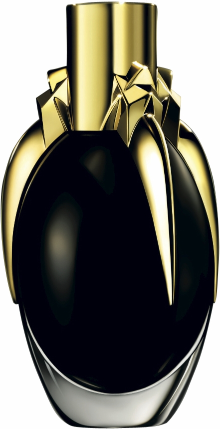Lady Gaga Fame Black Fluid