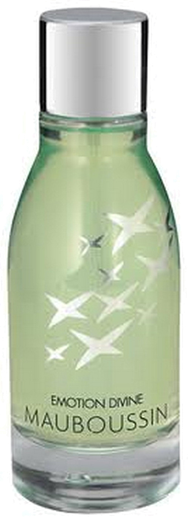 Patrik Mauboussin Emotion Divine