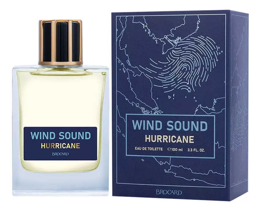 Wind Sound Brocard Wind Sound Hurricane Туалетная вода купить парфюм от 100 мл в интернет-магазине Randewoo, цены и отзывы покупателей на сайте