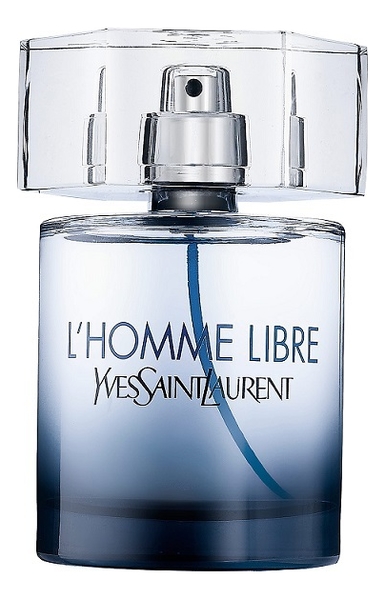 Ysl L Yves Saint Laurent L'Homme Libre Туалетная вода купить парфюм от 40 мл в интернет-магазине Randewoo, цены и отзывы покупателей на сайте